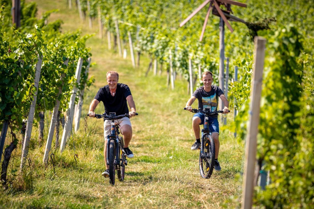 Weingut-Gaestehaus Birnstingl Gamlitz Εξωτερικό φωτογραφία
