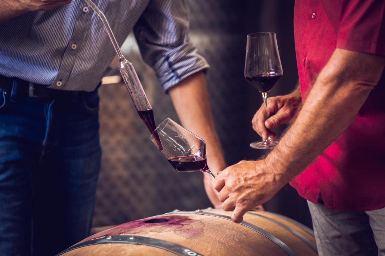 Weingut-Gaestehaus Birnstingl Gamlitz Εξωτερικό φωτογραφία