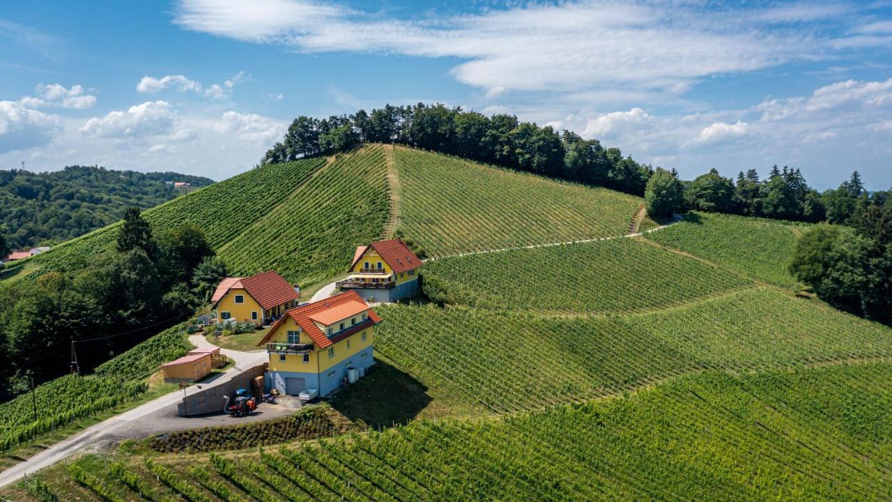 Weingut-Gaestehaus Birnstingl Gamlitz Εξωτερικό φωτογραφία