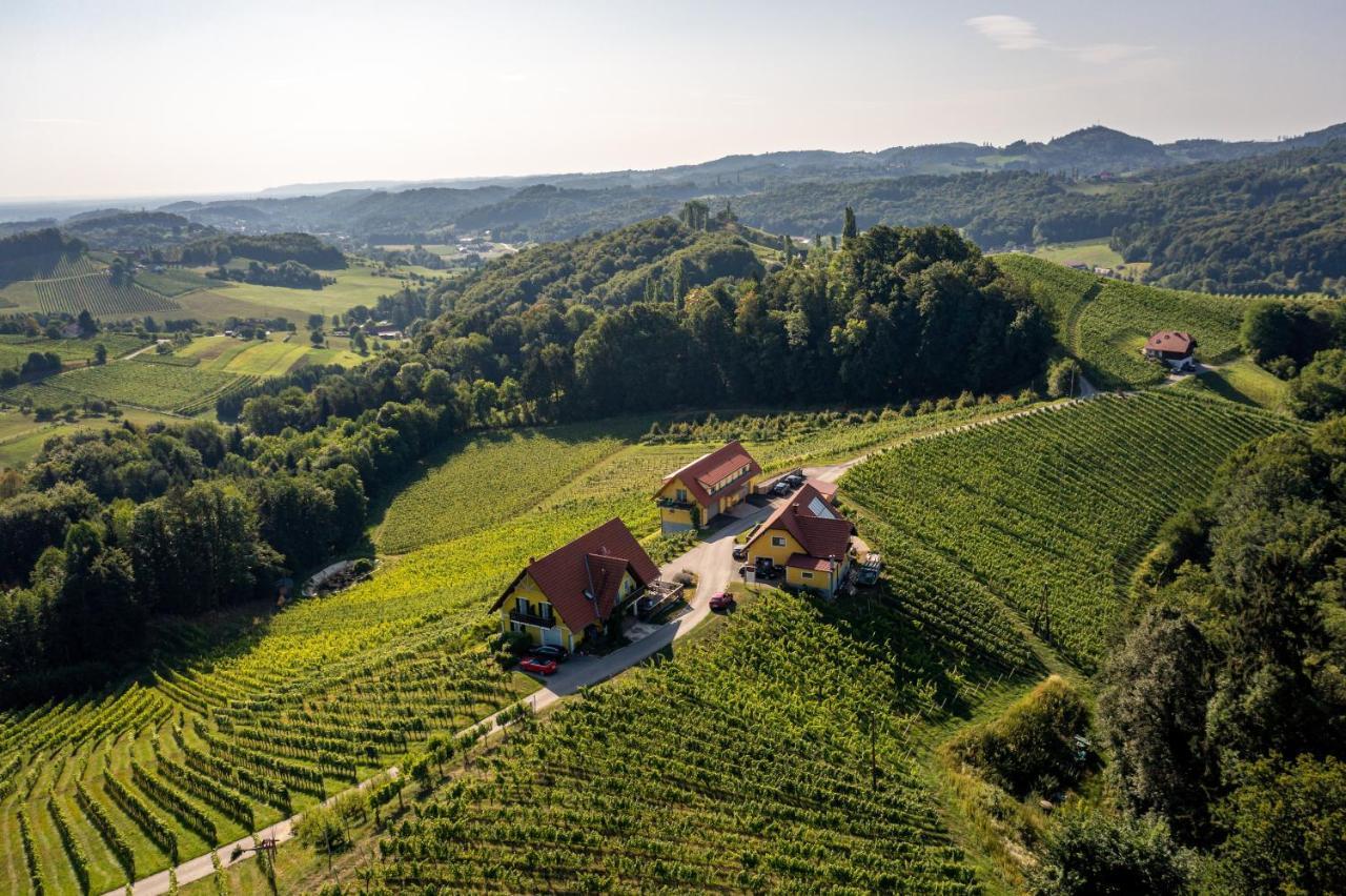 Weingut-Gaestehaus Birnstingl Gamlitz Εξωτερικό φωτογραφία